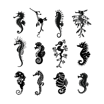 Set cute seahorses icons. Black seahorses with different silhouette on white background. For festive card, logo, children, pattern, tattoo, decorative, creative concept. Vector illustration.