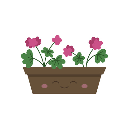 Happy flower box with geranium vector illustration. Pelargonium pink flower in flowerpot, plant pot. Cute window box with face. Isolated.