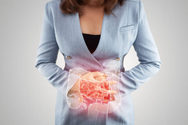 Illustration of large intestine is on the woman. Illustration of large intestine is on the woman's body. Business Woman touching belly painful suffering from enteritis. internal organs of the human body. inflammatory bowel disease irritable bowel syndrome photos stock pictures, royalty-free photos & images