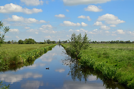 primeval Dutch polder landscape near the village of Stolwijk in the Krimpenerwaard in the province of South Holland