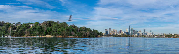 istock Panoramic Views of Sydney Harbour CBD and Downtown office buildings viewed from Woolwich in NSW Australia 1321486584