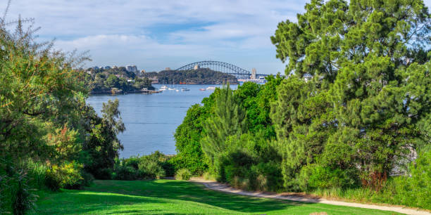 istock Panoramic Views of Sydney Harbour CBD and Downtown office buildings viewed from Woolwich in NSW Australia 1321486643