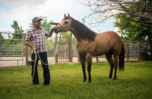 istock Hispanic mature man posing with his horse 1321488169