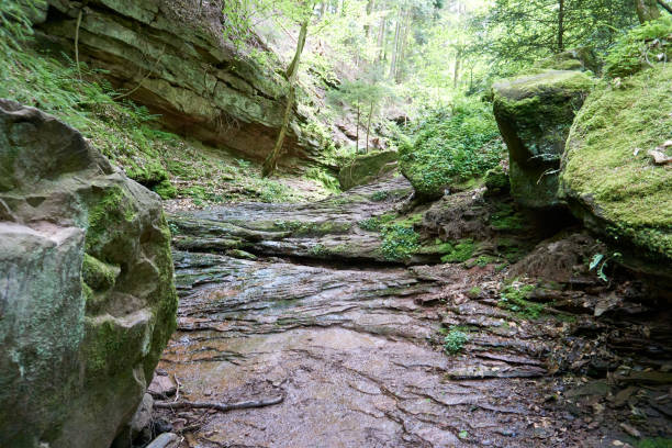 istock wolfsschlucht rock and waterfall gorge in hirsau germany 1321488328
