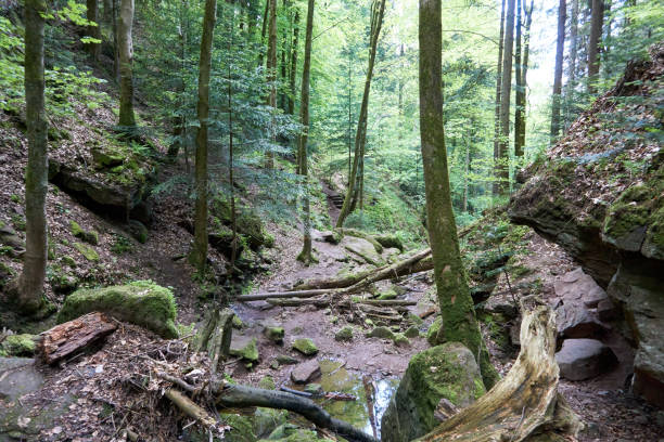 istock wolfsschlucht rock and waterfall gorge in hirsau germany 1321488330