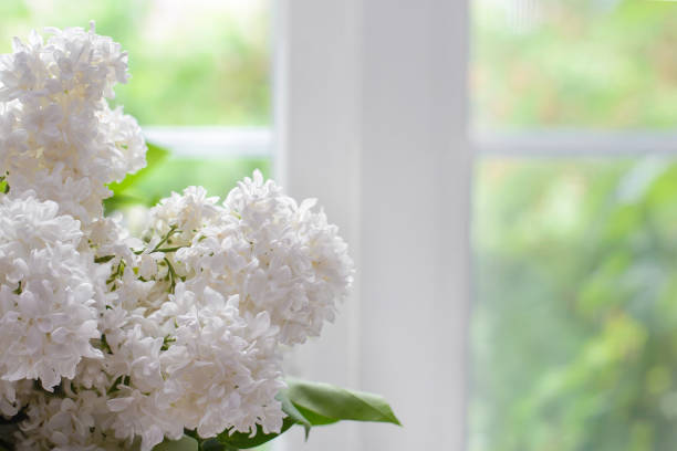 istock Bouquet of white lilac on the window closeup 1321490801