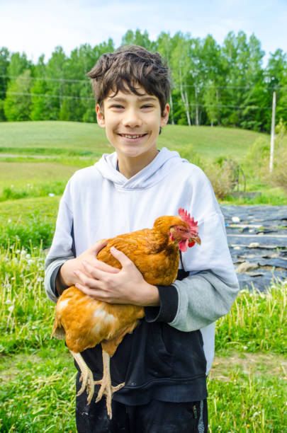 istock Happy boy holding a brown chicken 1321490870