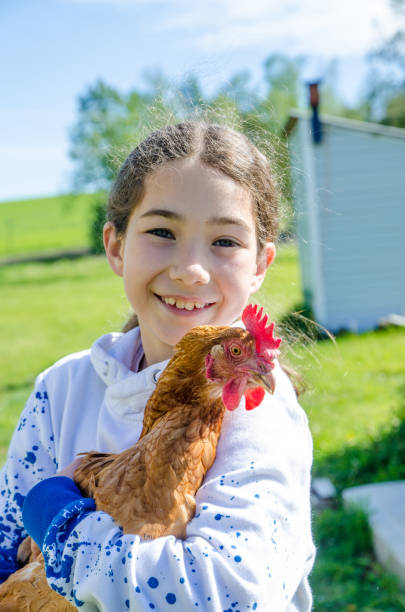 istock Happy girl holding a brown chicken 1321490940