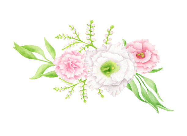 Watercolor flower bouquet illustration. Hand painted floral border arrangement isolated on white background. Elegant blush, white and pink flower heads with leaves for wedding invitations, cards. Watercolor flower bouquet illustration. Hand painted floral border arrangement isolated on white background. Elegant blush, white and pink flower heads with leaves for wedding invitations, cards drawing of a green lisianthus stock illustrations