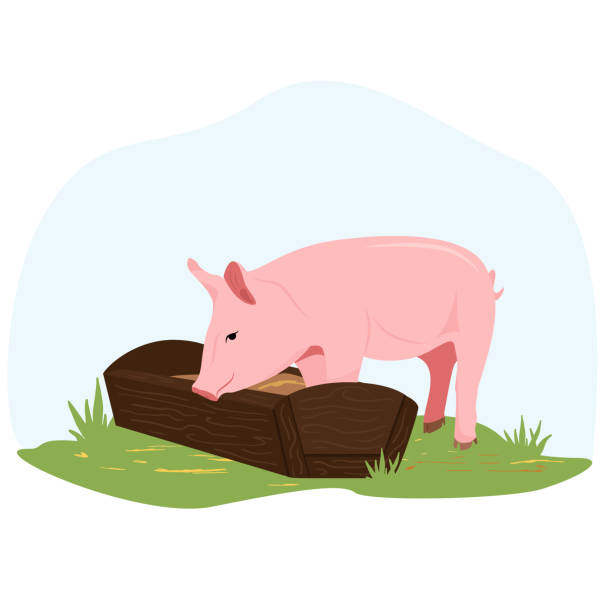 310 Pigs Eating Cartoon Illustrations & Clip Art - iStock