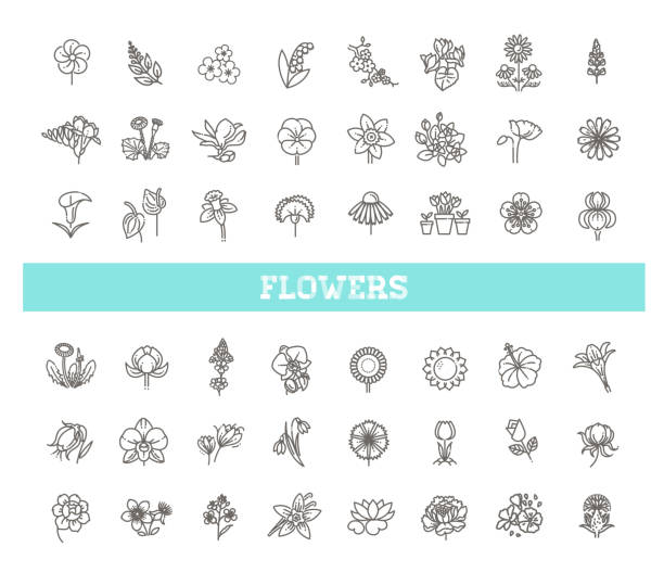satz von blumen-symbol in flachem design - lily pad bloom stock-grafiken, -clipart, -cartoons und -symbole