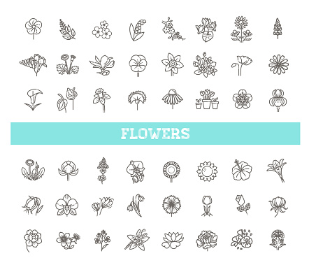 Set of floral icon in flat design. Thin line style