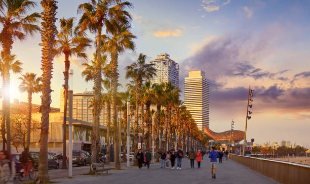 Barcelona, Spain. Road for public transport