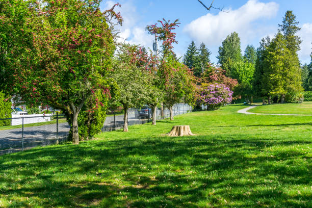 istock Spring Park Flowers Landscape 4 1321497860