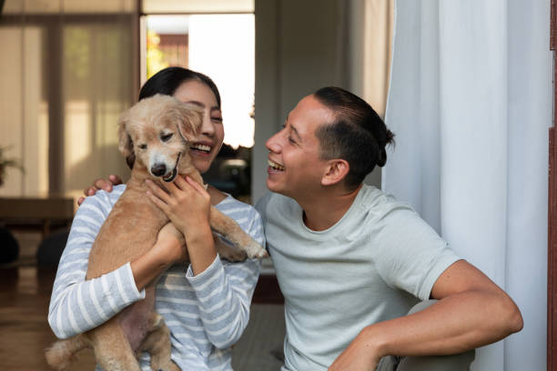 多様性若いカップル家の中で彼の犬と遊ぶ。彼�らは彼らの小さな子犬を抱きしめている - mid adult couple ストックフォトと画像