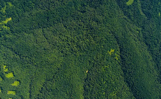 Aerial top view forest trees, ecosystem and healthy environment concept and background. Krasnodar krai, Russia