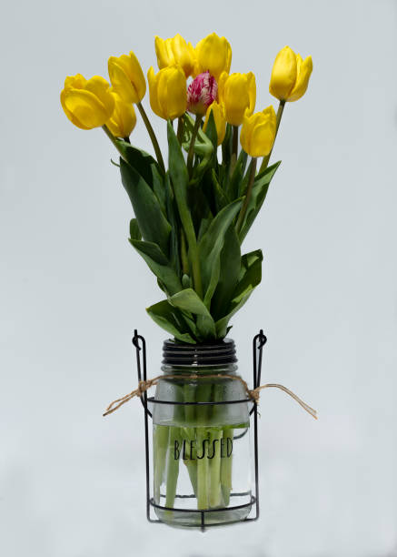 istock Tulips in season in a vase 1321499006
