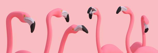istock Pink flamingos on pink background 1321501364