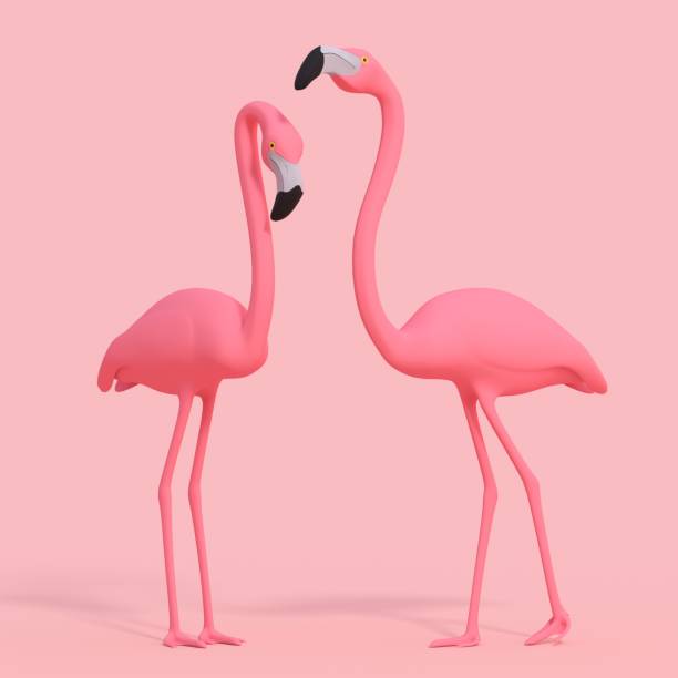 Pink flamingos on pink background 3D rendering