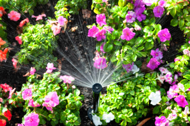 istock Flowerbed sprinkler keeping garden irrigated 1321503383
