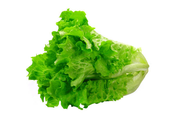 istock fresh green salad on white isolated background. side view 1321503465