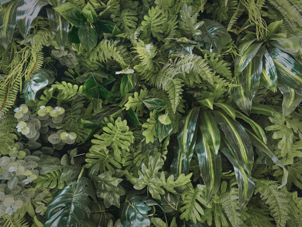 istock Full Frame Background of Green Plants Wall 1321503694
