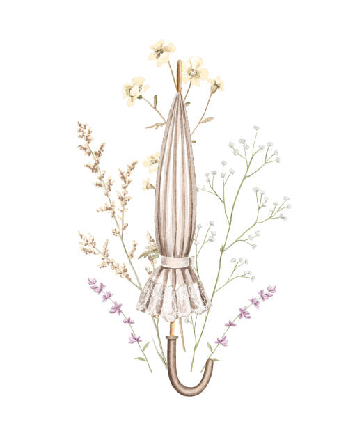 illustrazioni stock, clip art, cartoni animati e icone di tendenza di acquerello vintage retro leggero ombrello femminile con fiori secchi prato - pino domestico