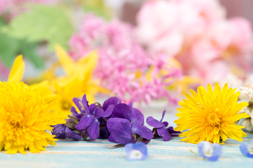 Arrangement with spring flowers - violets - arranged on a table