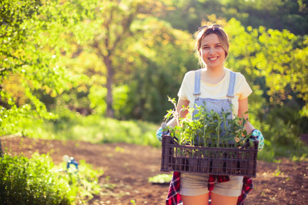 istock Homegrown treat 1321507537