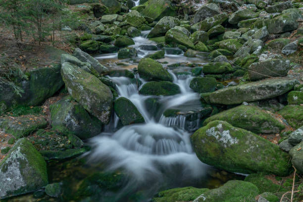 istock Small creek in Krkonose national park in spring with snow 1321510022