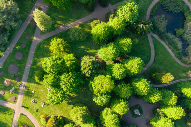 istock Grosvenor Park Aerial, Chester, Cheshire, England, UK 1321512601