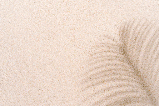 Arena de playa tropical con sombras de hojas de cocotero en verano. Fondo del concepto de viajes y vacaciones. espacio de copia. photo