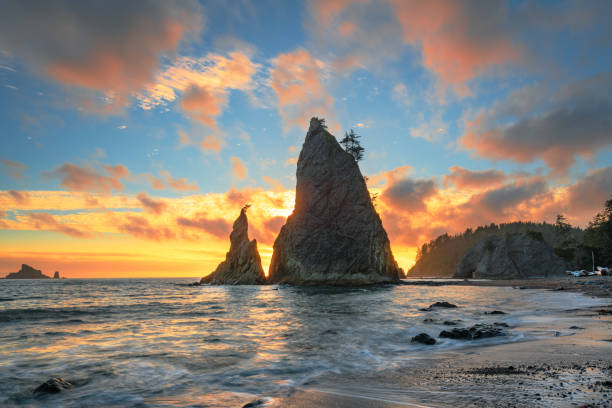 parque nacional olímpico, washington, eua em rialto beach. - olympic national park - fotografias e filmes do acervo