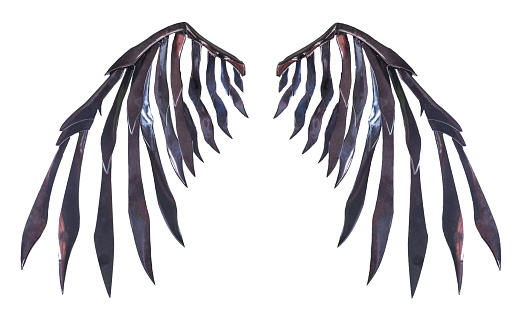 Devil wing plumage object isolated on white background with clipping path