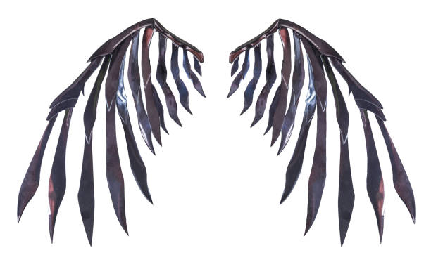 Devil wing plumage isolated on white background with clipping path Devil wing plumage object isolated on white background with clipping path costume wing stock pictures, royalty-free photos & images