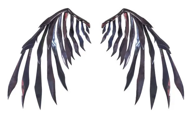 Photo of Devil wing plumage isolated on white background with clipping path