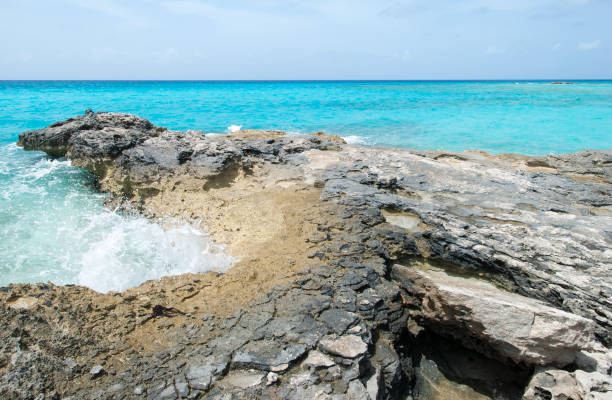 istock Half Moon Cay Rocky Shore And Waves 1321521350