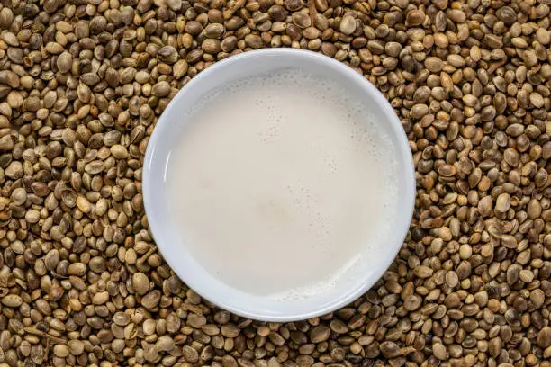 hemp seed milk in a small ceramic bowl against a background of dry hemp seeds, alternative milk concept