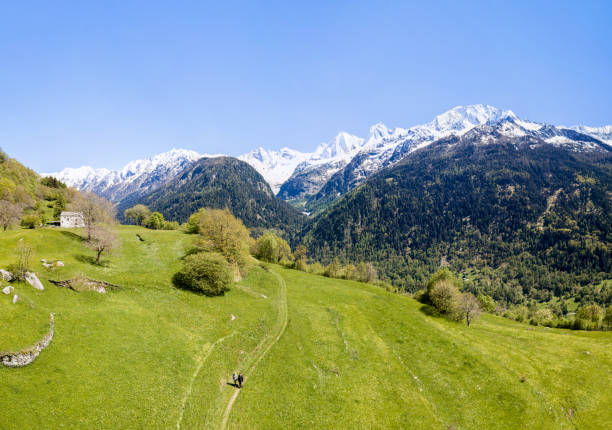 prato alpino svizzero nel bellissimo borgo di soglio con la catena montuosa sciora - engadine foto e immagini stock