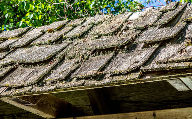istock Fragment of the old roof 1321528940