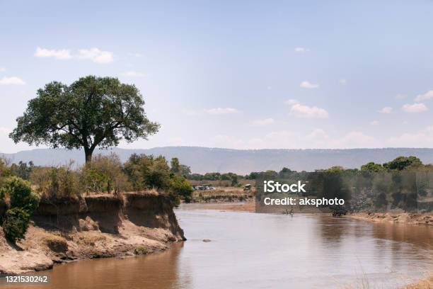 Game Drive On Safari Jeep At Masai Mara Stock Photo - Download Image Now - Maasai Mara National Reserve, Mara River, 4x4