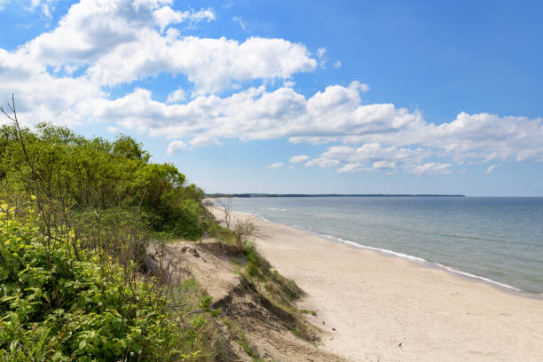 istock Sandy beaches of the Curonian Spit 1321532611