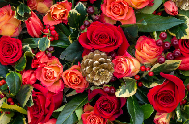 A floral wreath for a Christmas funeral, with gilded pinecone, red roses, holly and red berries.