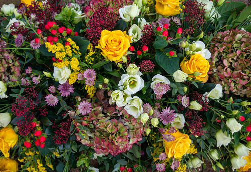 A floral tribute for a winter funeral with multi-coloured flowers and greenery.
