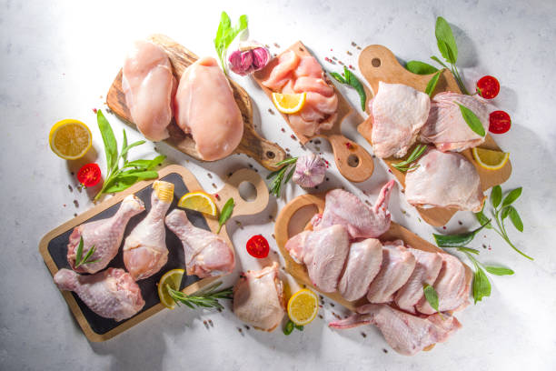 Various raw chicken meat portions stock photo