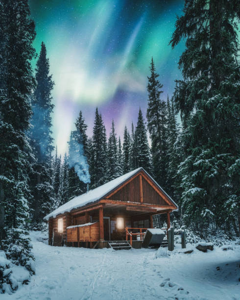 aurora borealis nad drewnianym domku z dymem na śniegu w sosnowym lesie w parku narodowym yoho - winter snow landscape house zdjęcia i obrazy z banku zdjęć