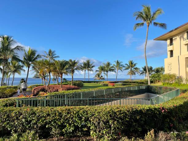 istock Coconut Grove by the Sea 1321544294