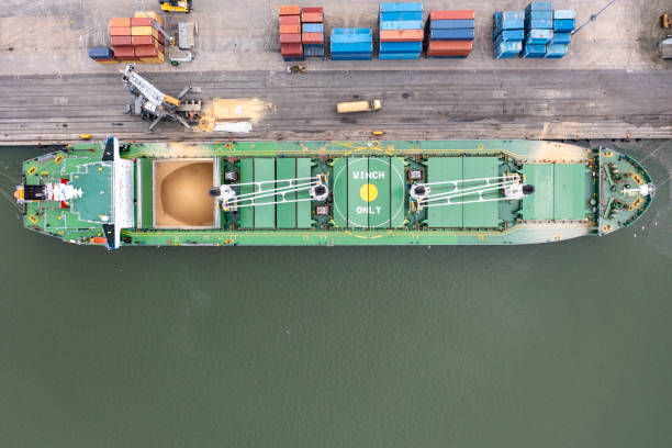 istock Top view of a large cargo ship being loaded with grain. 1321545780