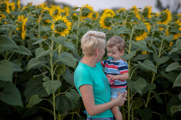 istock Mother and son among sunflowers. 1321552485