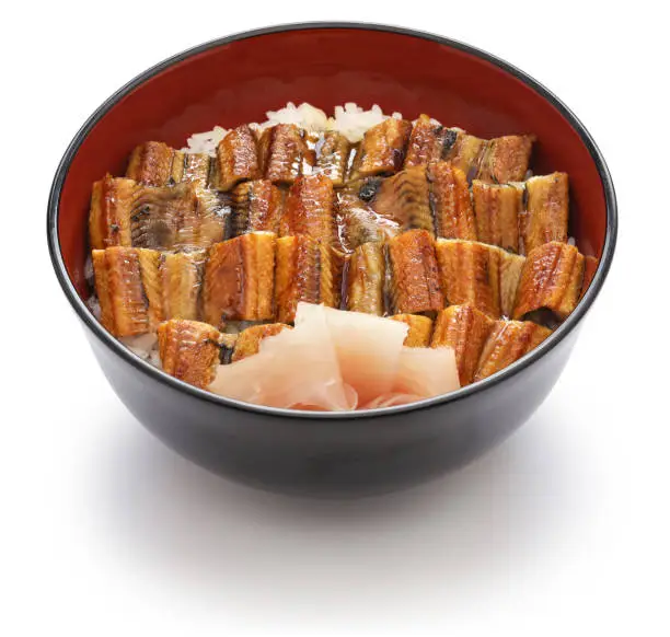 Anagodon, rice bowl with grilled conger eel, japanese food